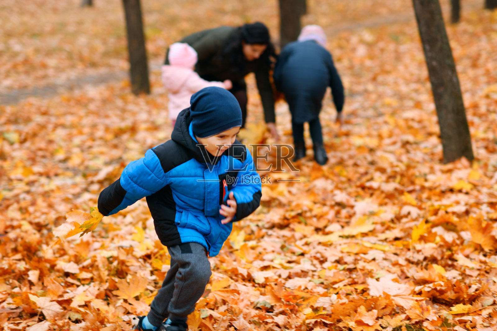 秋天城市公园里，孩子们在玩黄色的枫叶。秋天的季节，大自然美丽。照片摄影图片