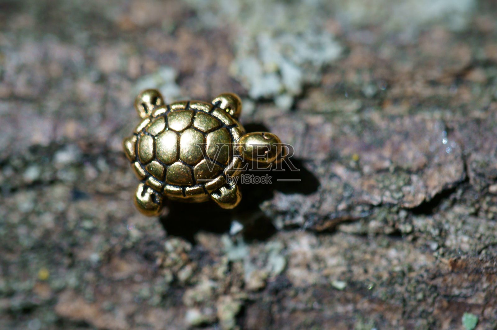 树皮上乌龟的小塑像。照片摄影图片