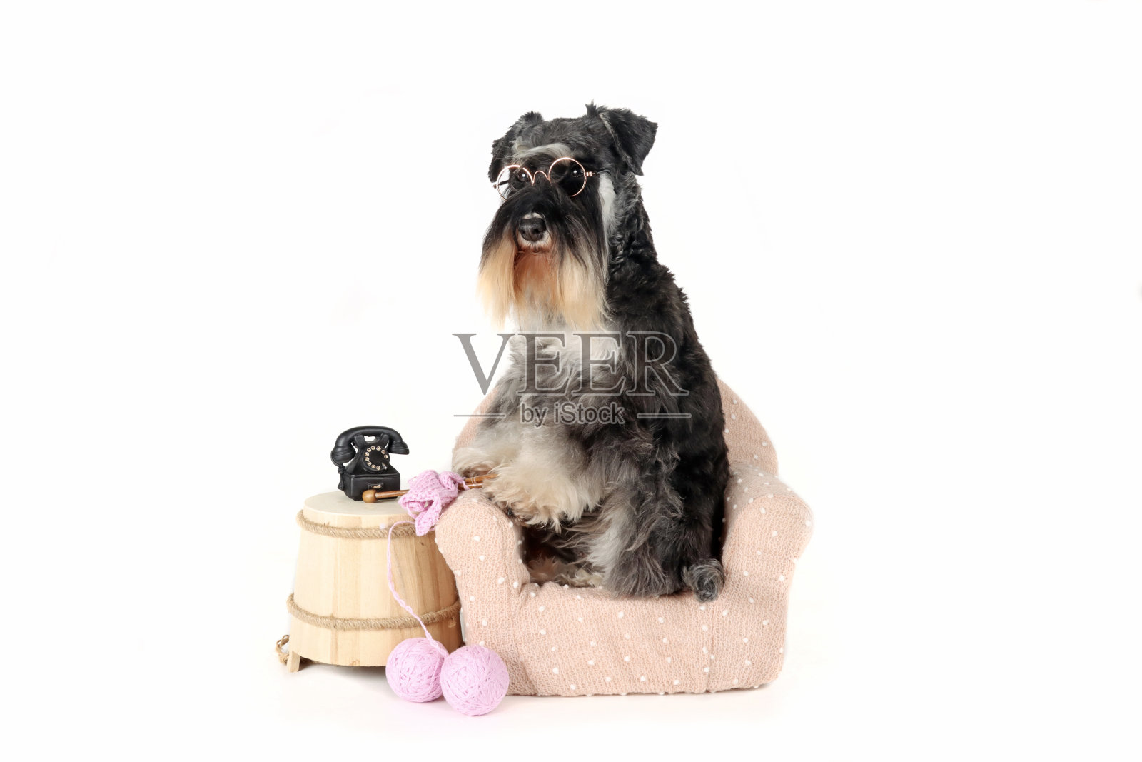 狗针织照片摄影图片