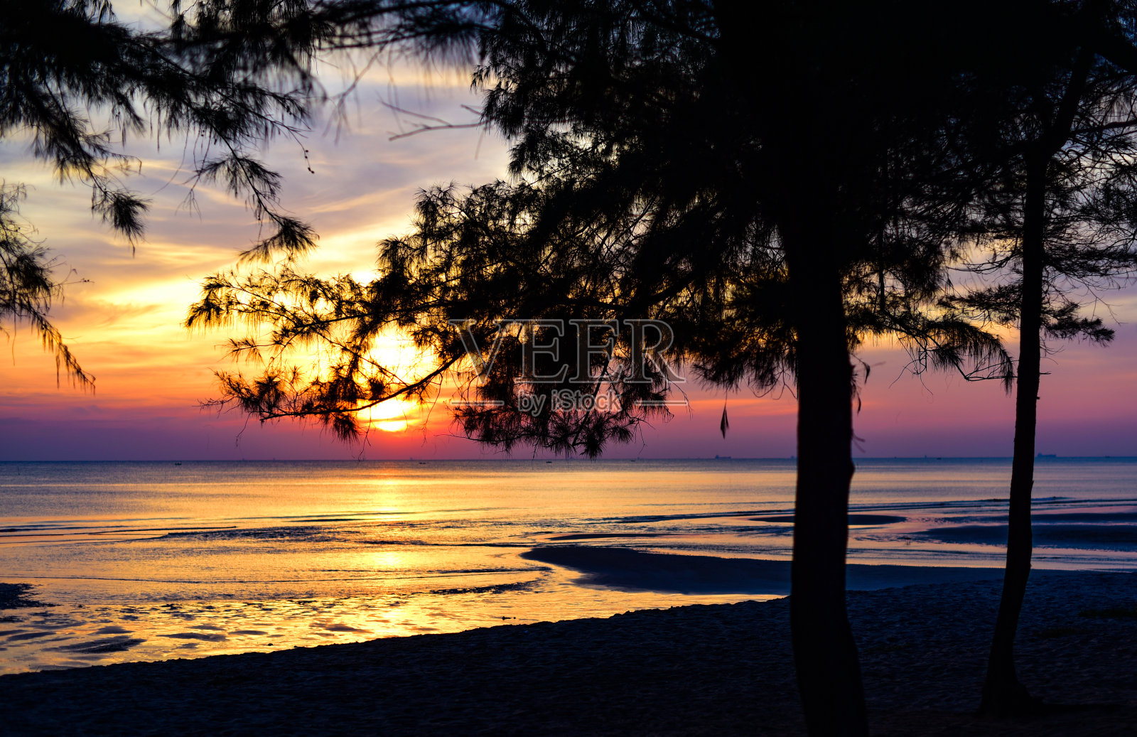 在泰国罗勇省湄兰芬海滩，日落时穿过松树的黄昏灯光照片摄影图片