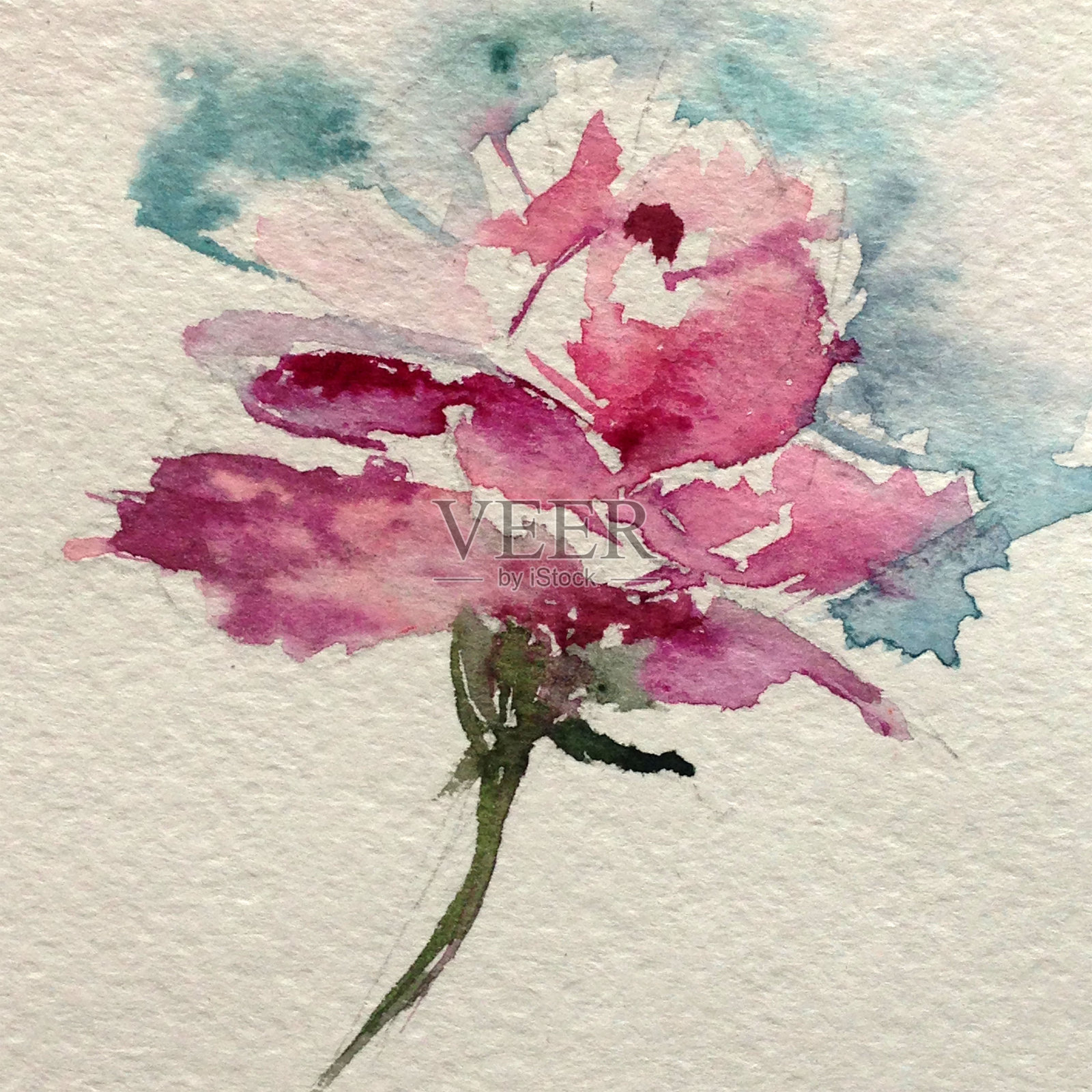 抽象鲜艳的装饰背景。花图案手工制作。美丽温柔浪漫的夏日单玫瑰花，采用水彩画技术，取自大自然。插画图片素材