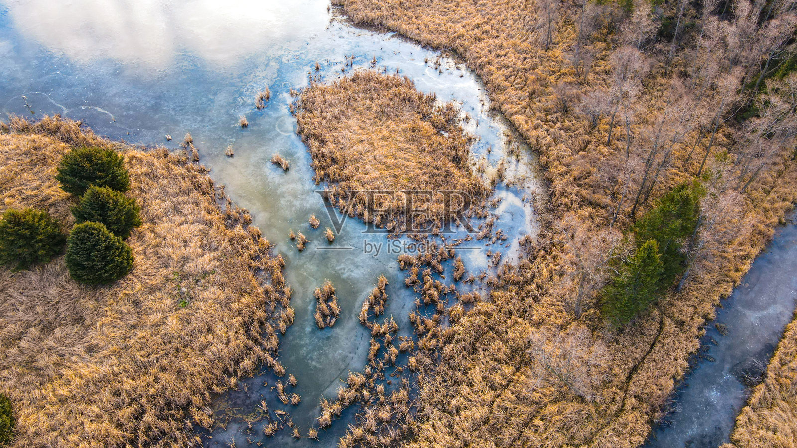 充满活力的秋天的颜色照片摄影图片