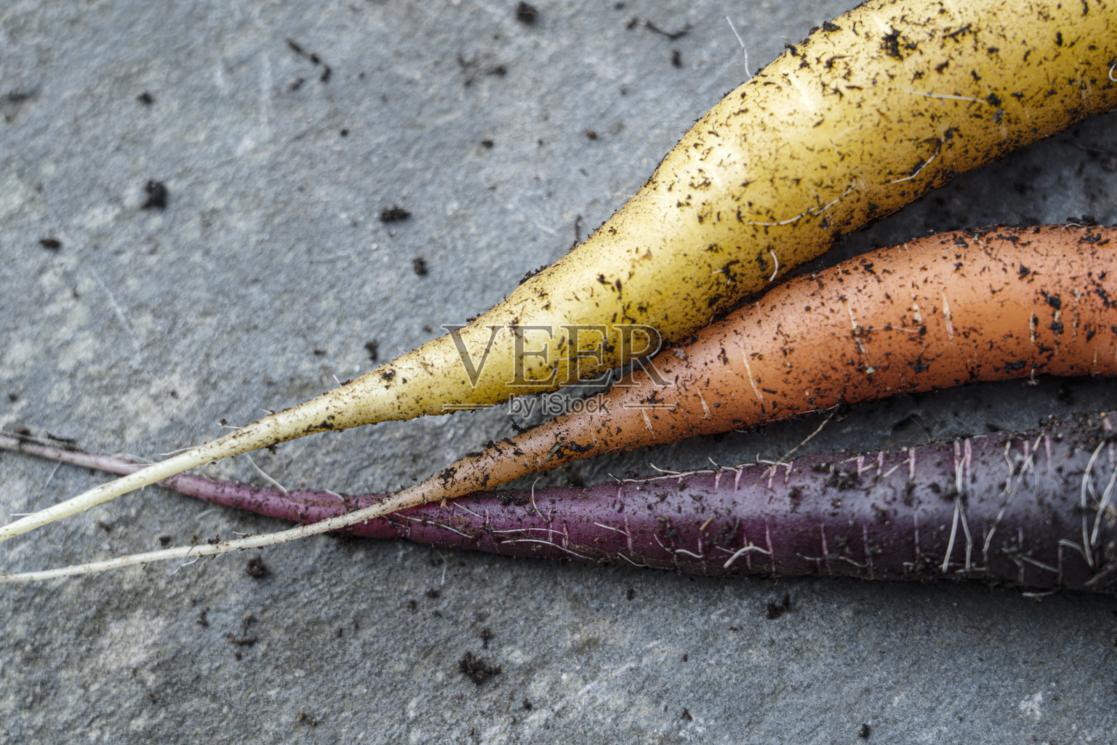 新收获的彩虹胡萝卜。照片摄影图片