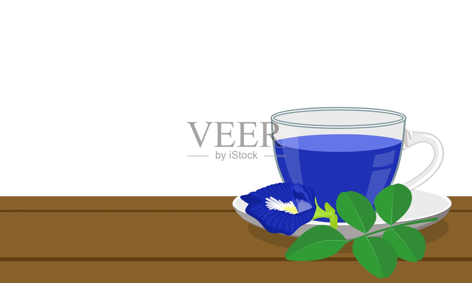 山茶或蝴蝶豆，学名(阴蒂)，阿育吠陀医学中的草药。插画图片素材