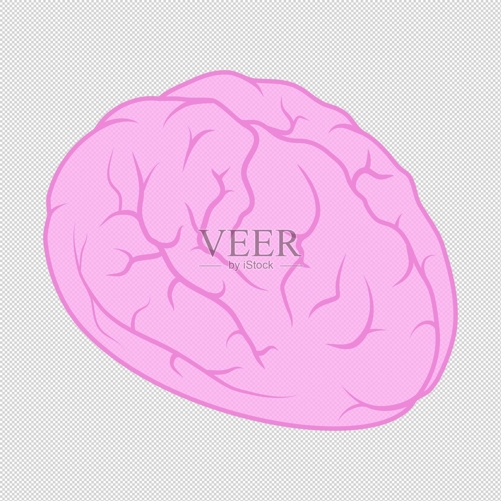 大脑人脑脑子设计元素图片