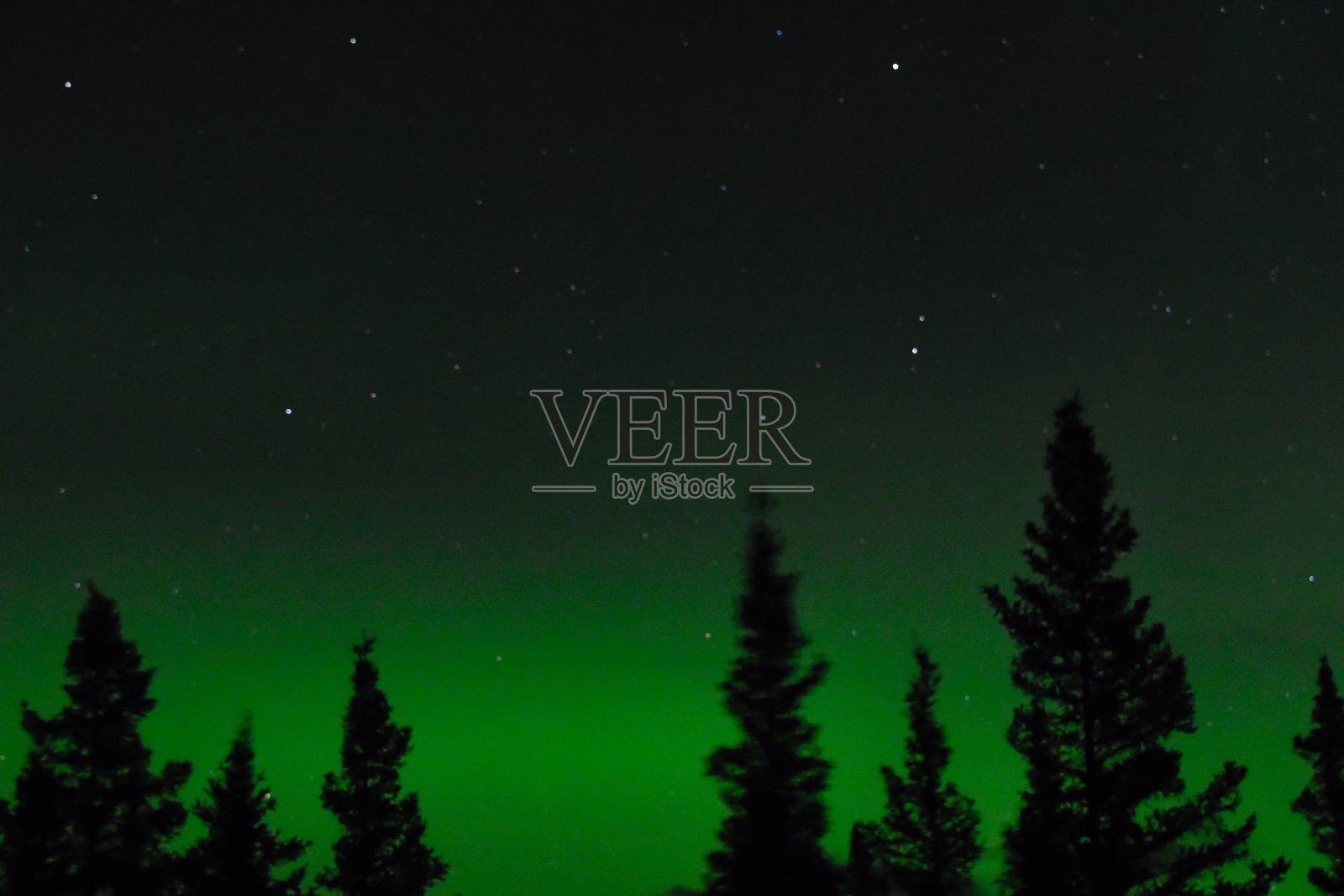 夜空与极光背后的森林树照片摄影图片