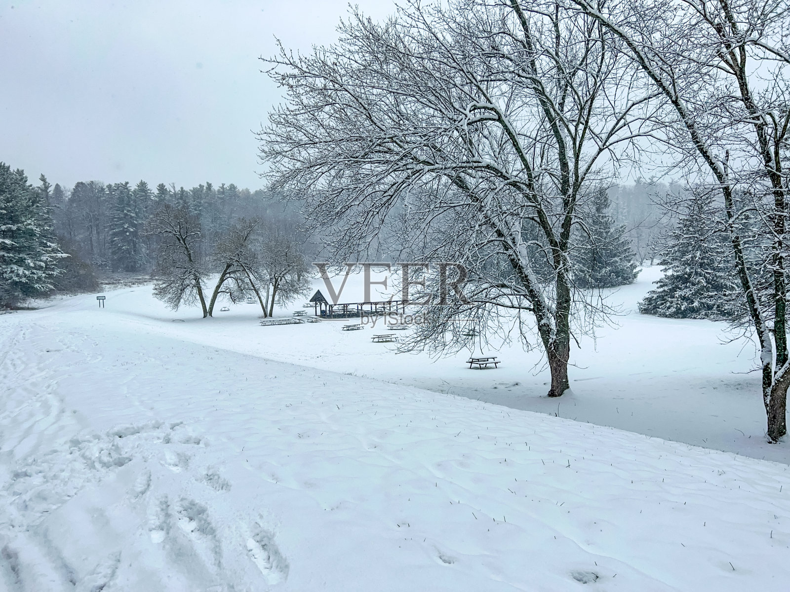 加拿大伍德布里奇冬季博伊德保护公园照片摄影图片