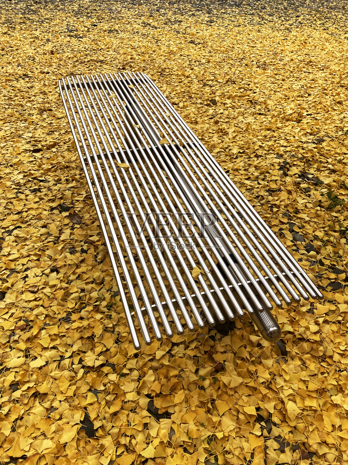 金属长椅上照片摄影图片