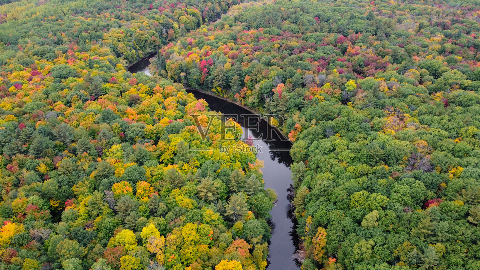 秋季北方森林自然与河流鸟瞰图照片摄影图片