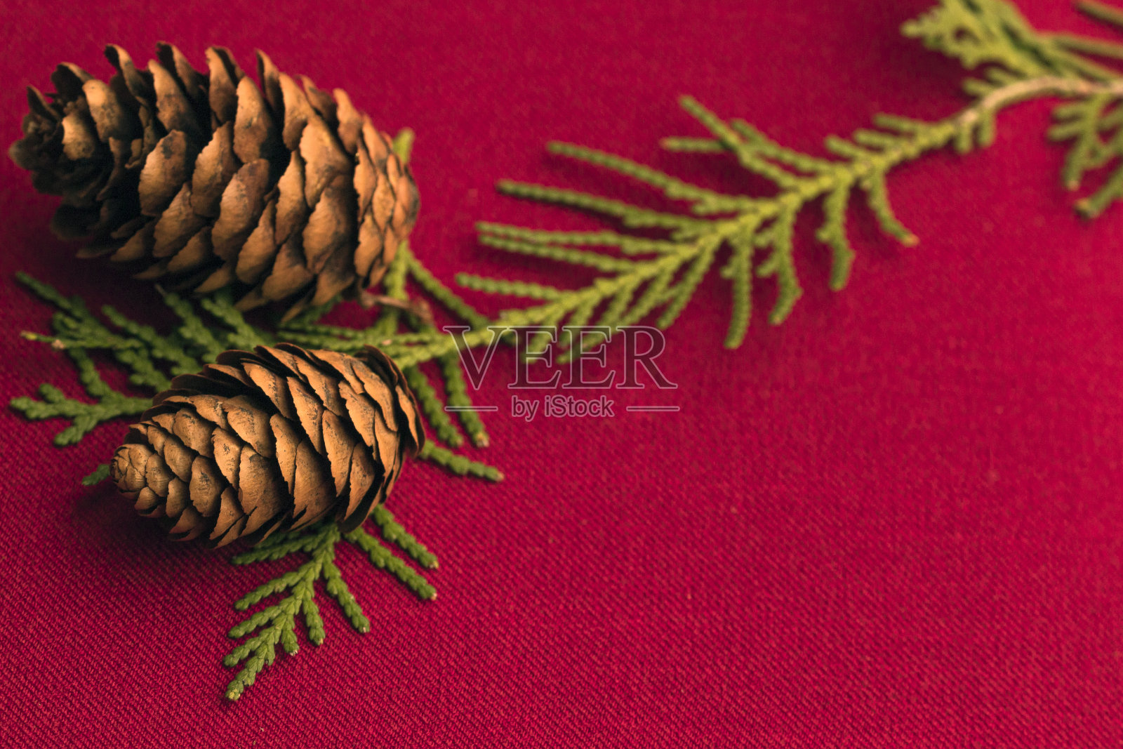 红色背景上有松果的松树树枝照片摄影图片