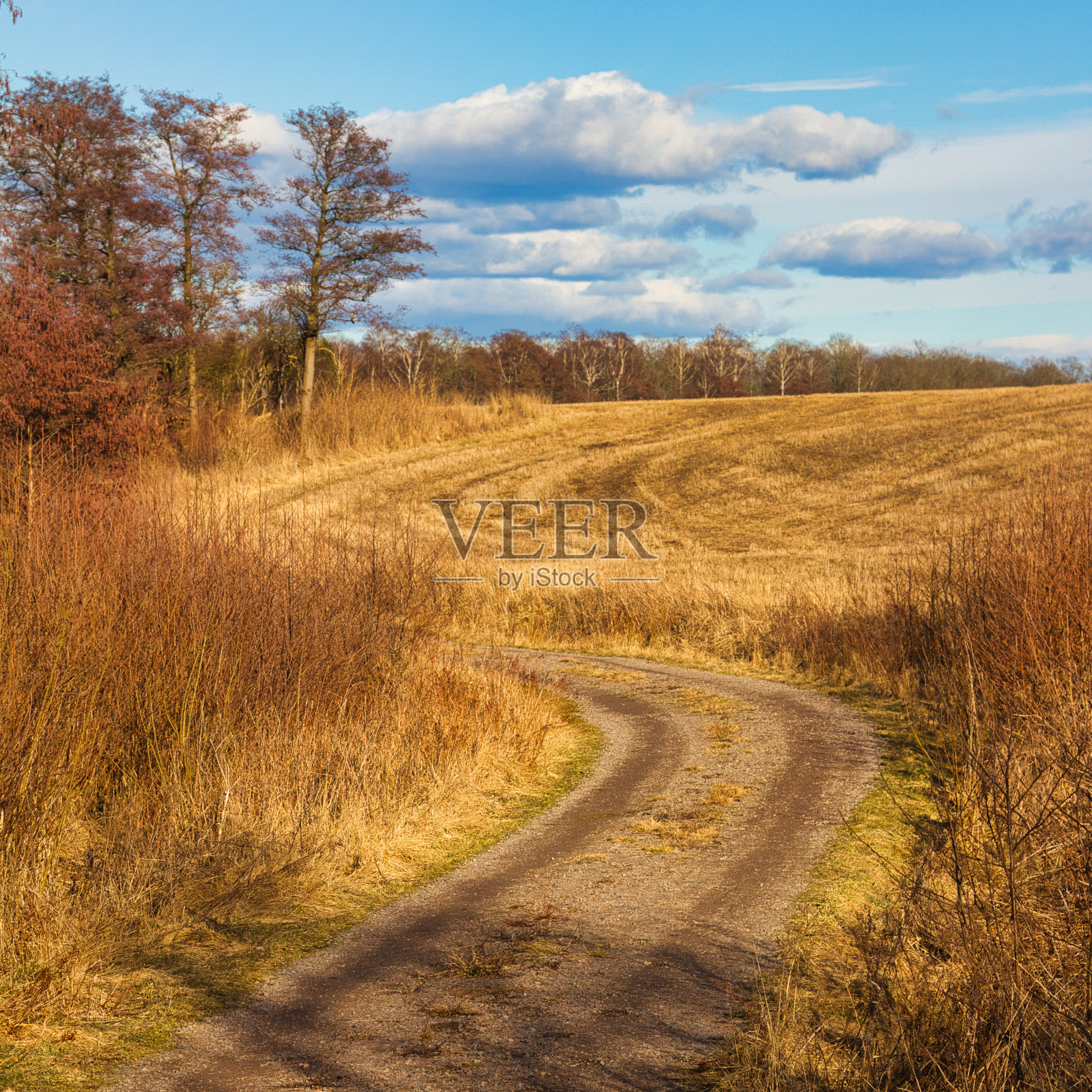 路进田野，春天来了照片摄影图片