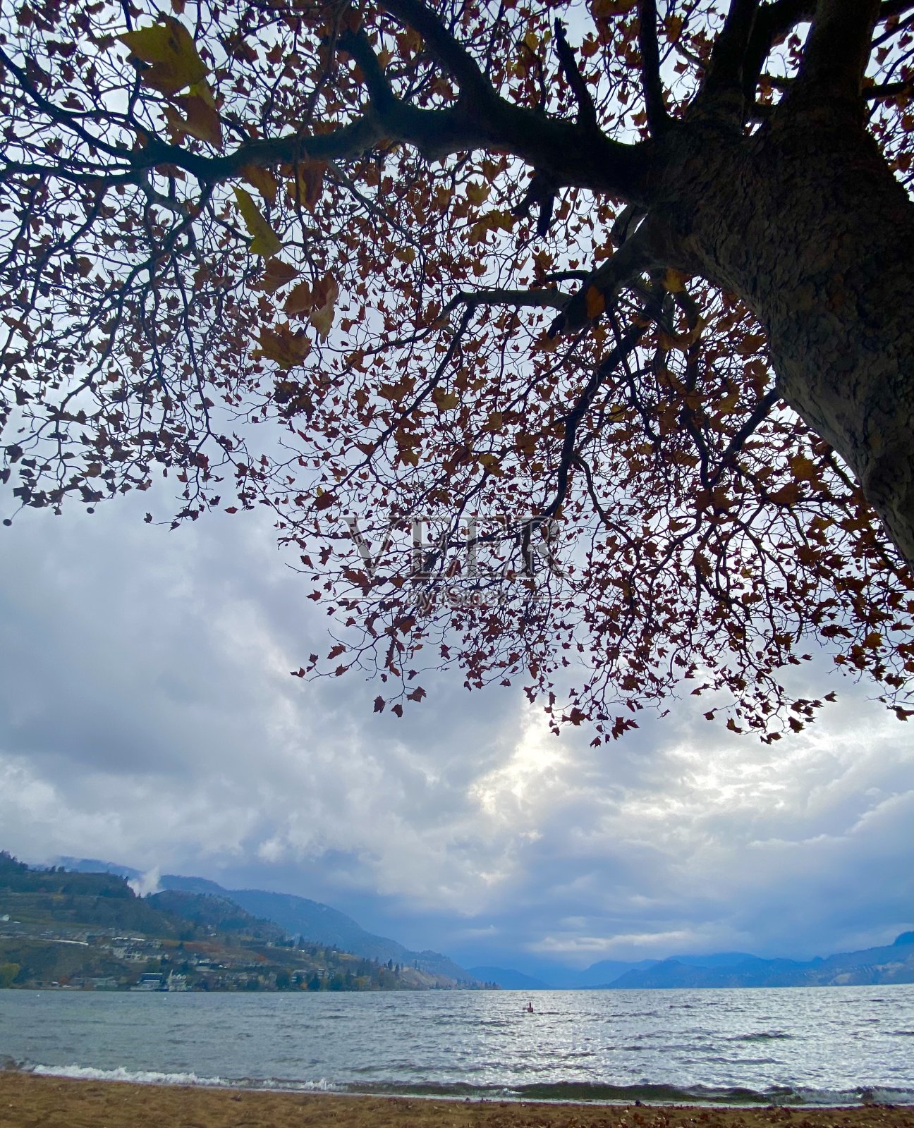 大自然的美丽照片摄影图片
