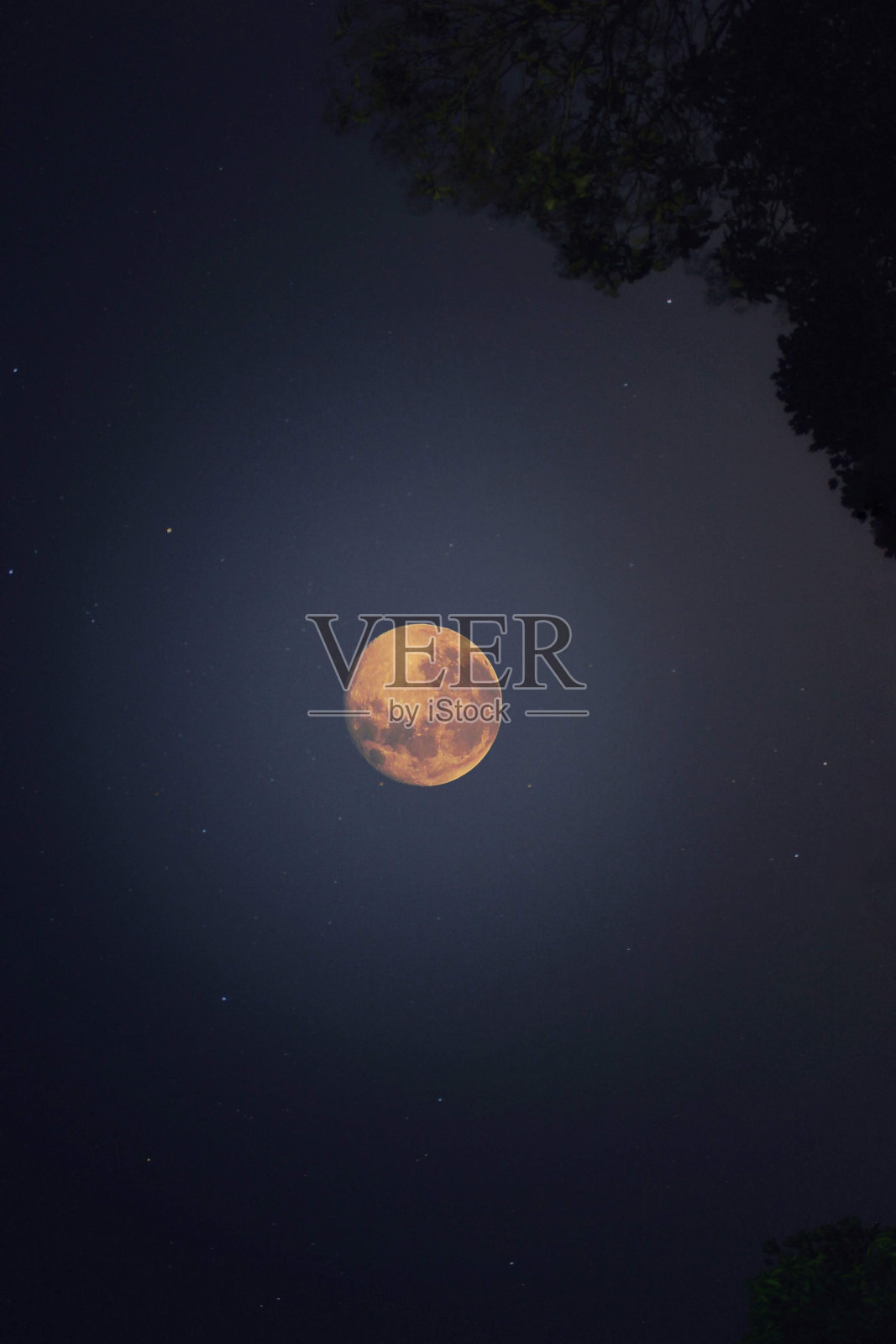 在血月照片摄影图片