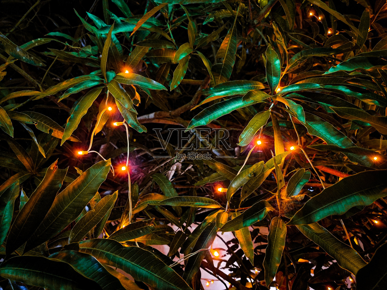 夜生活照明!照片摄影图片