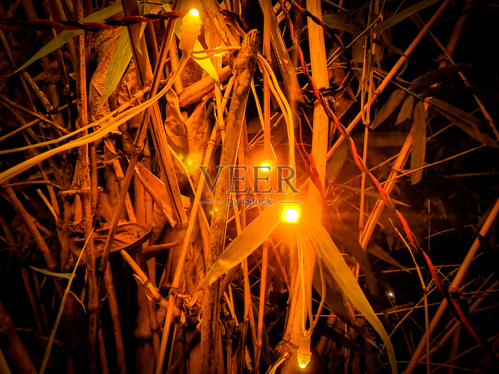 夜生活照明!照片摄影图片