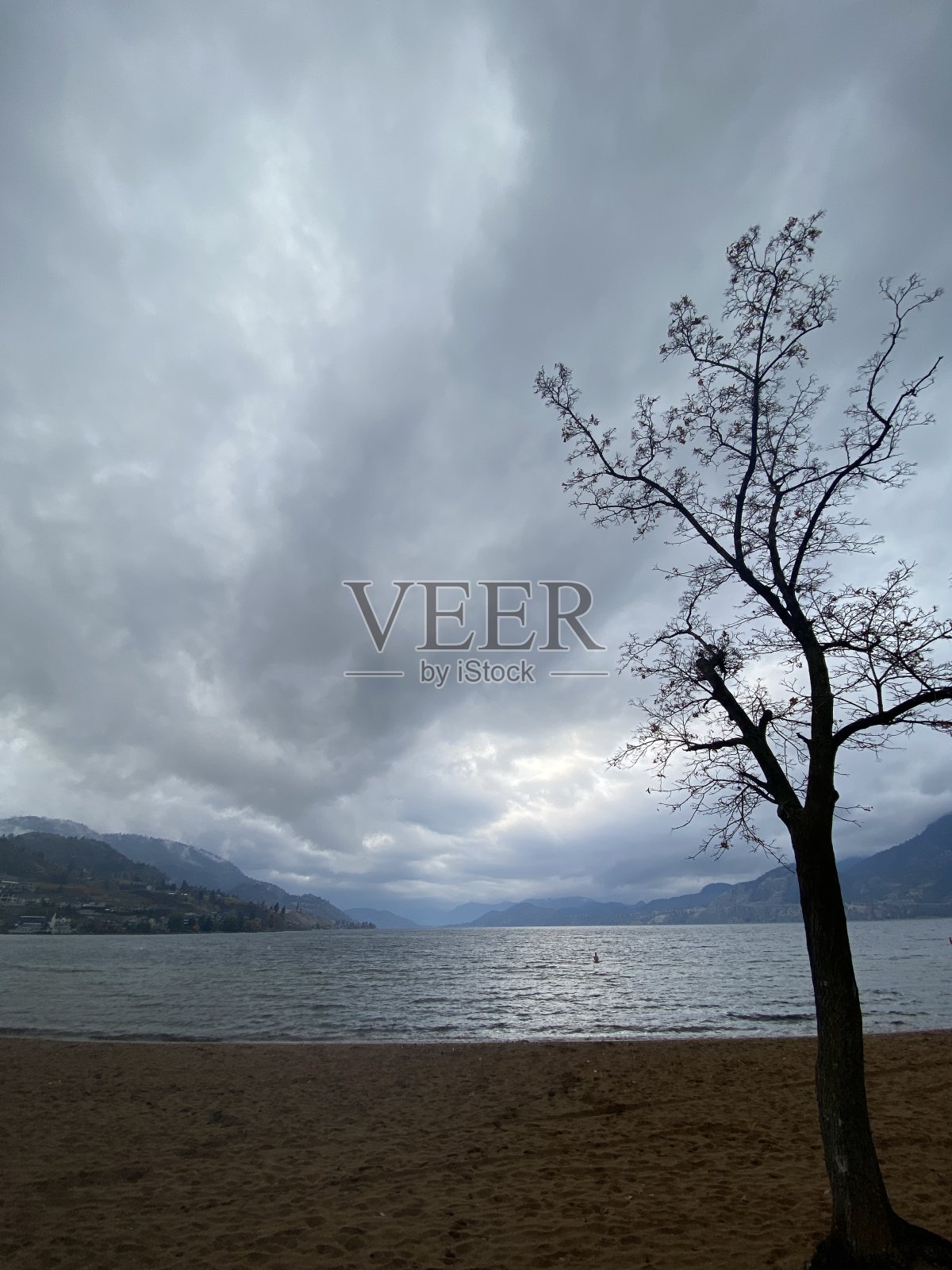 大自然的美丽照片摄影图片