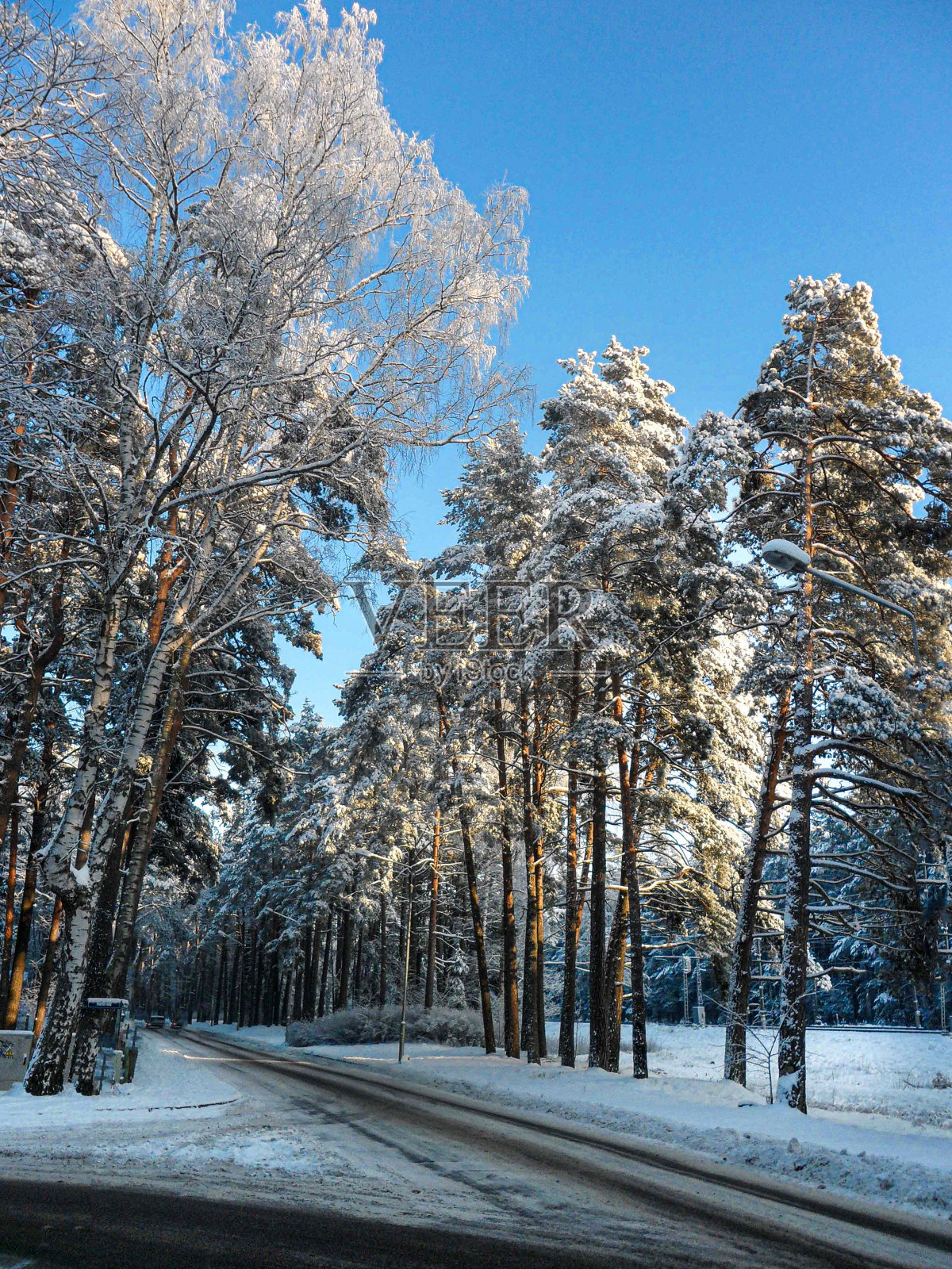 初冬，第一场雪。白雪覆盖的街道上。照片摄影图片