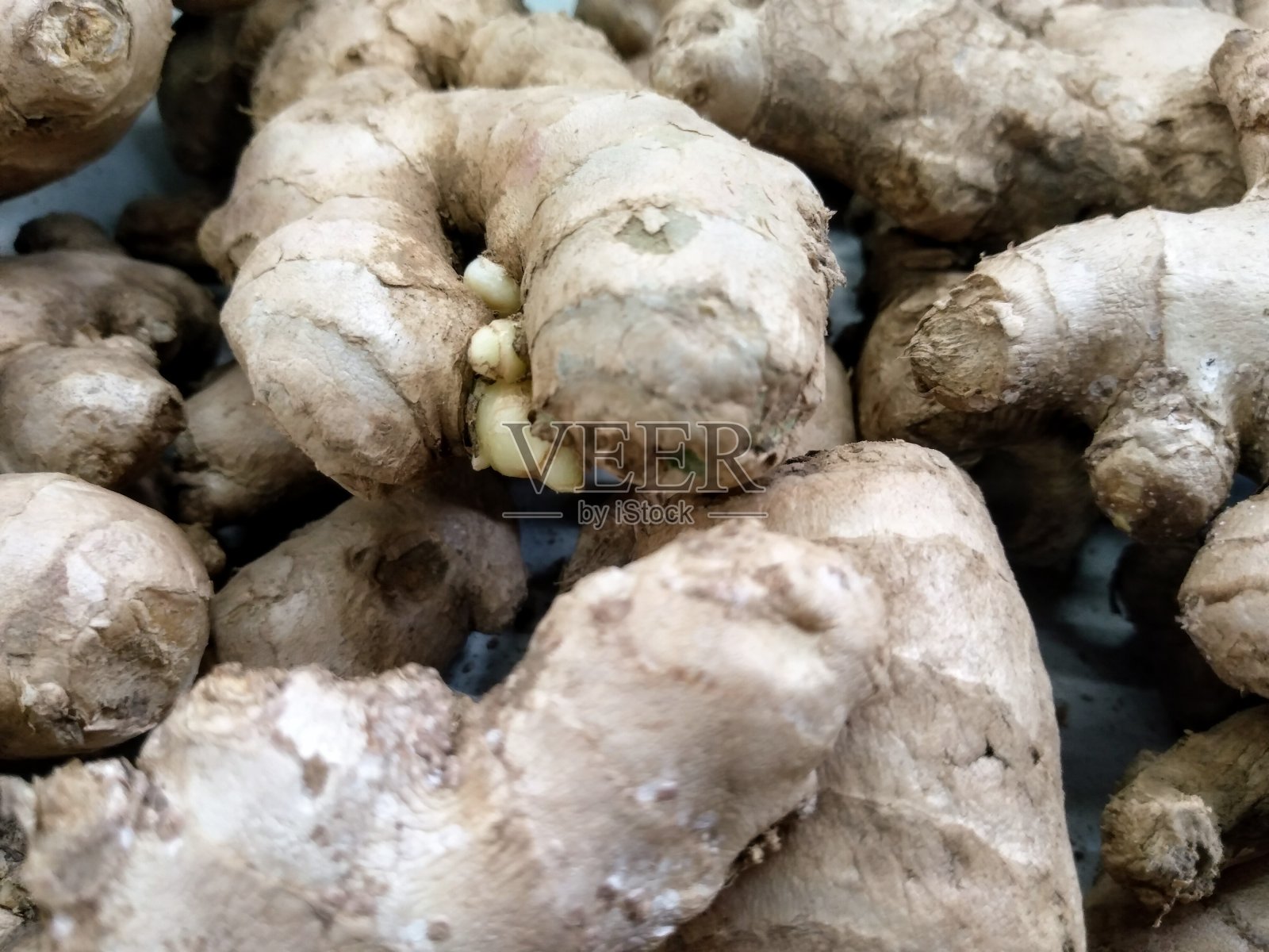 生姜是印度尼西亚的一种传统香料，食用时可以提供温暖照片摄影图片