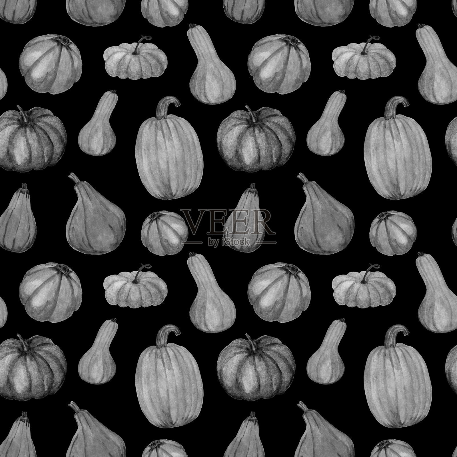无缝水彩图案的黑白南瓜。孤立的蔬菜图形元素是在黑色背景上手绘的。插画图片素材