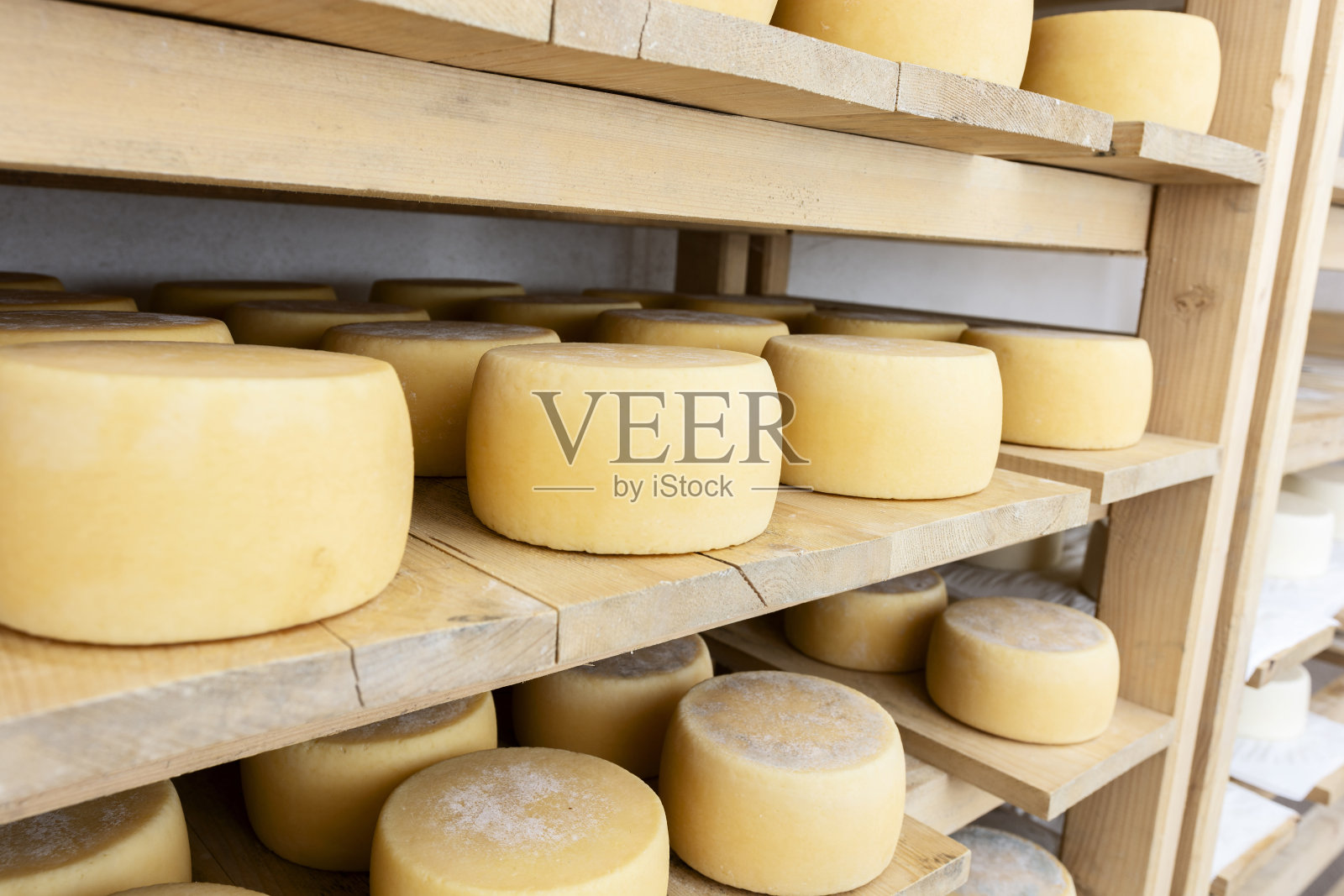 奶酪在催熟室照片摄影图片