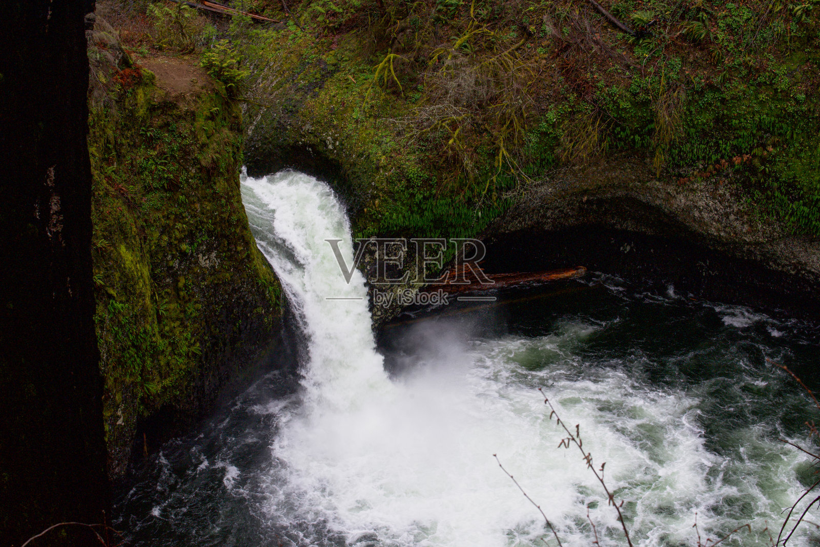 潘趣酒碗重重地摔了下来照片摄影图片