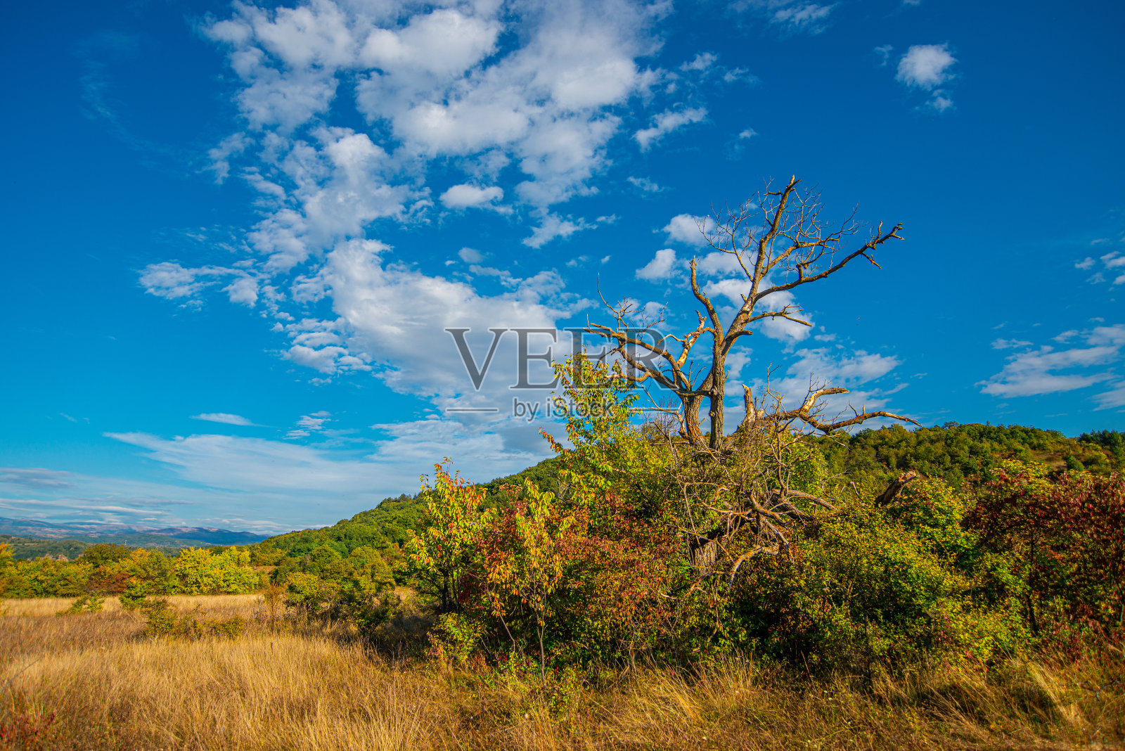山野秋色，山野平原景观照片摄影图片