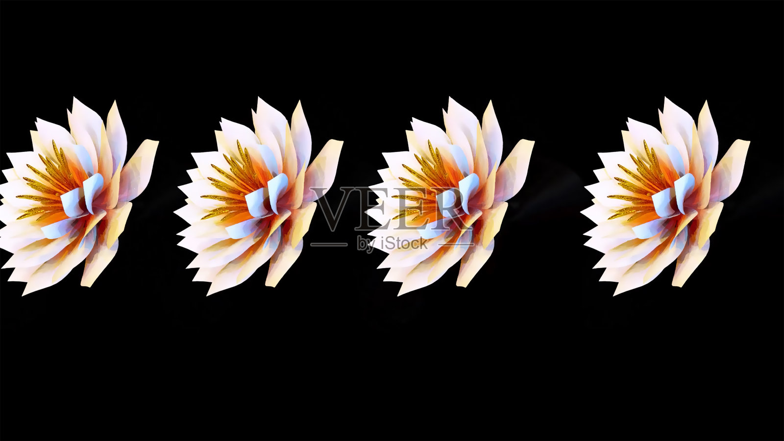 睡莲植物花3D渲染照片摄影图片