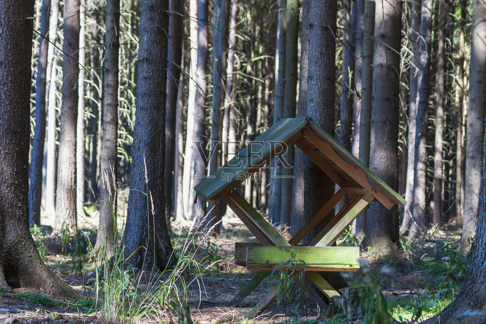 草垛上的干草为森林动物在森林中的树木。照片摄影图片