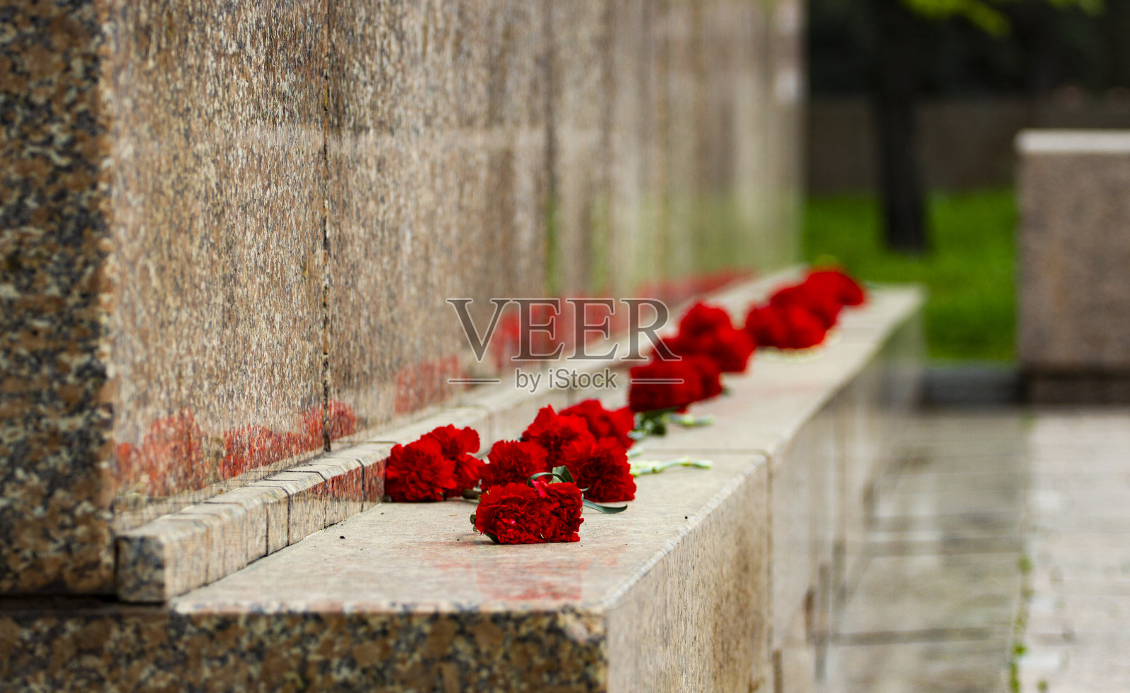 花岗石阶上盛开着康乃馨照片摄影图片