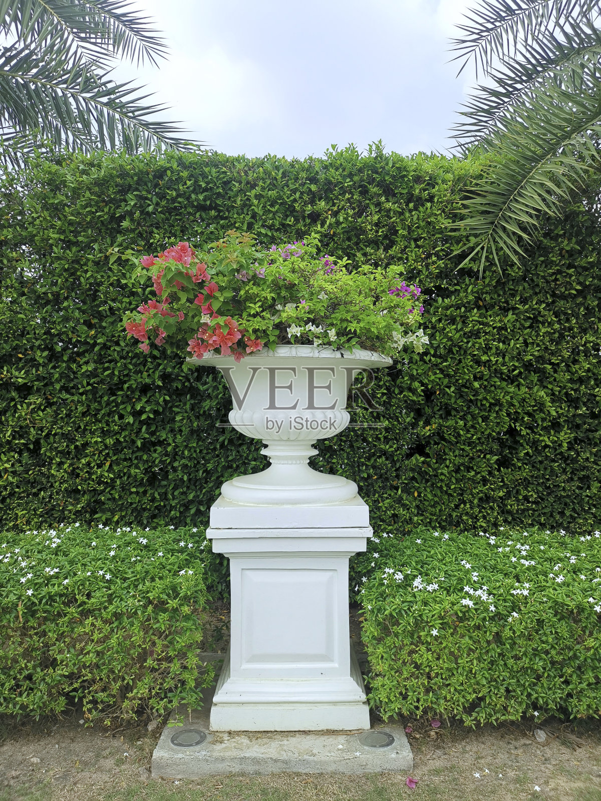 罗马花式园林花盆照片摄影图片