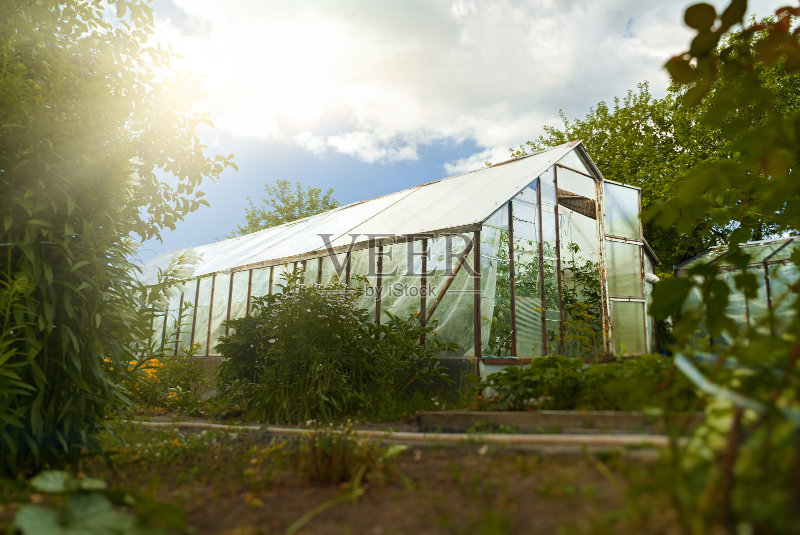 花园里传统的老温室。照片摄影图片