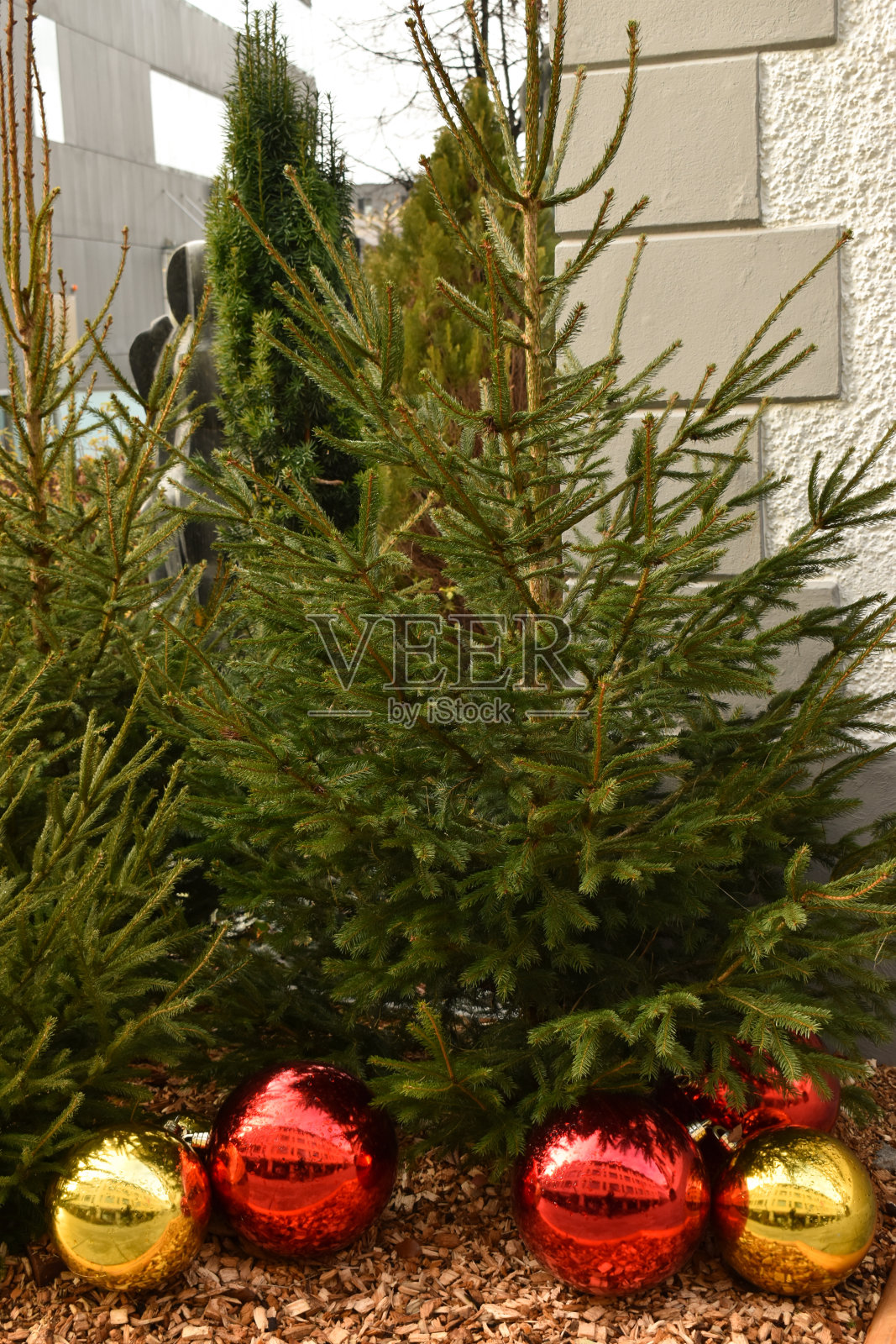 列支敦士登瓦杜兹市的圣诞装饰照片摄影图片