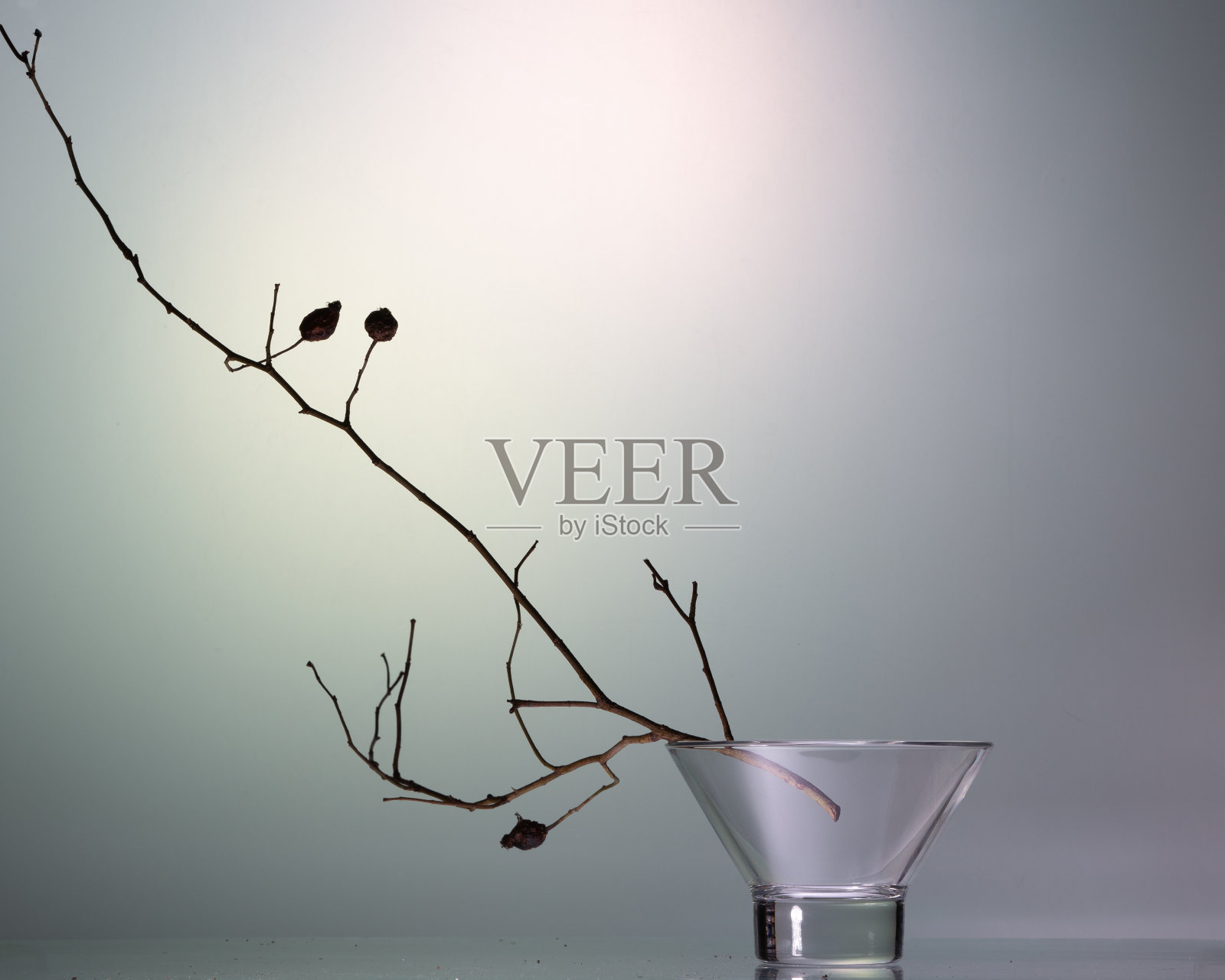 静物静物-干枯的树枝和玫瑰果实的冬季怀旧照片摄影图片