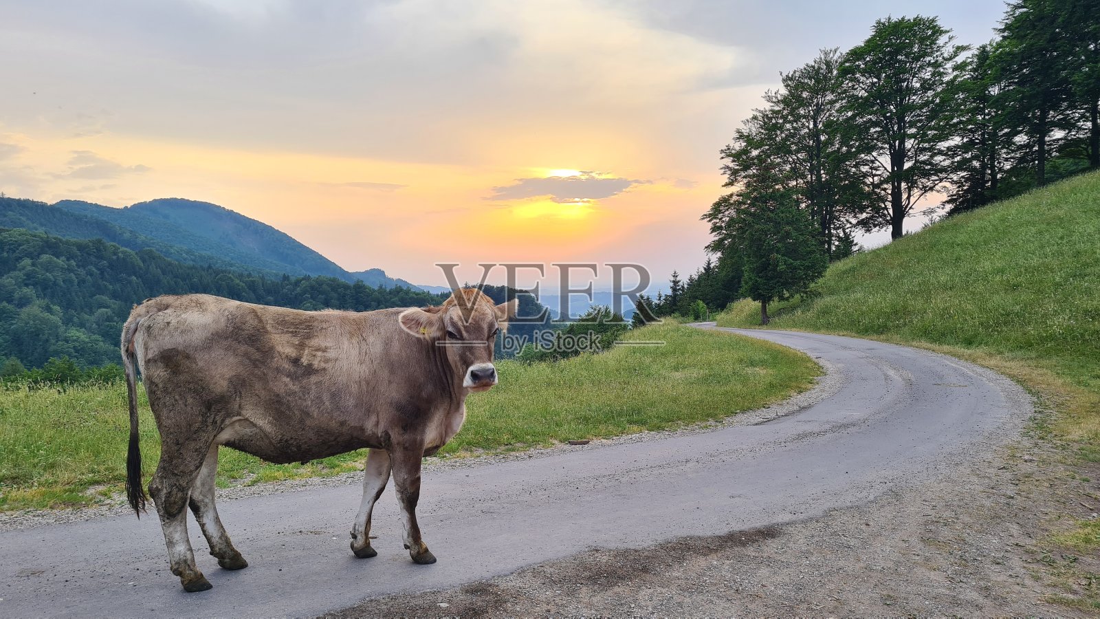奥地利山照片摄影图片