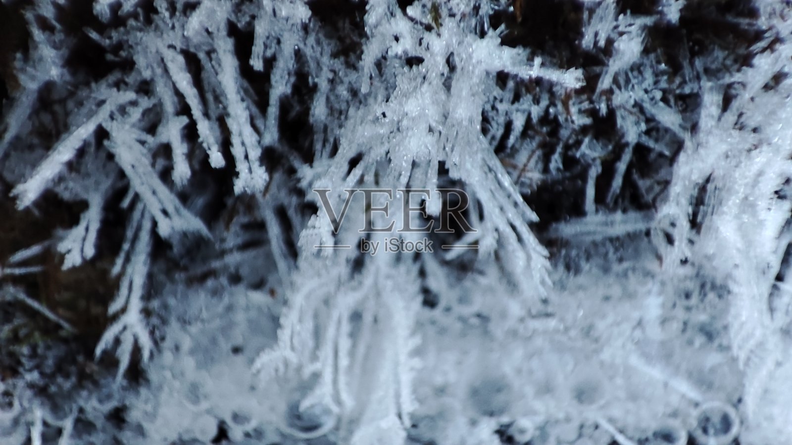 冰密切与照片摄影图片