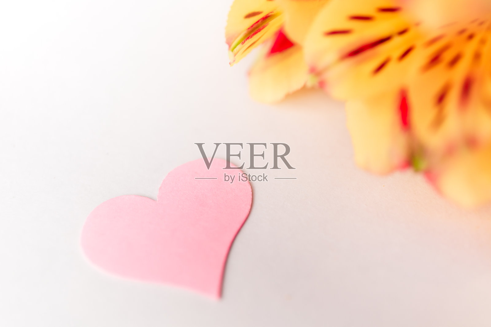 一颗粉色的小心，在白色的背景上装饰着黄色的花朵照片摄影图片