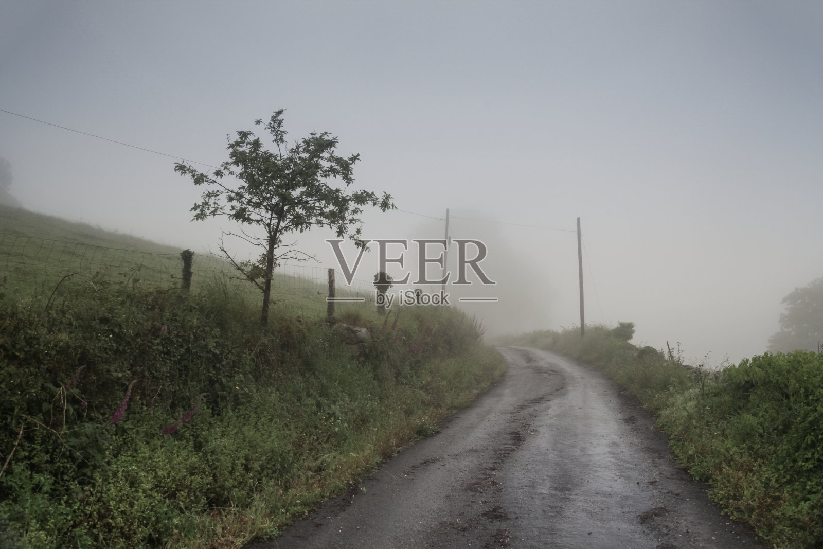 夏天。雾。路照片摄影图片