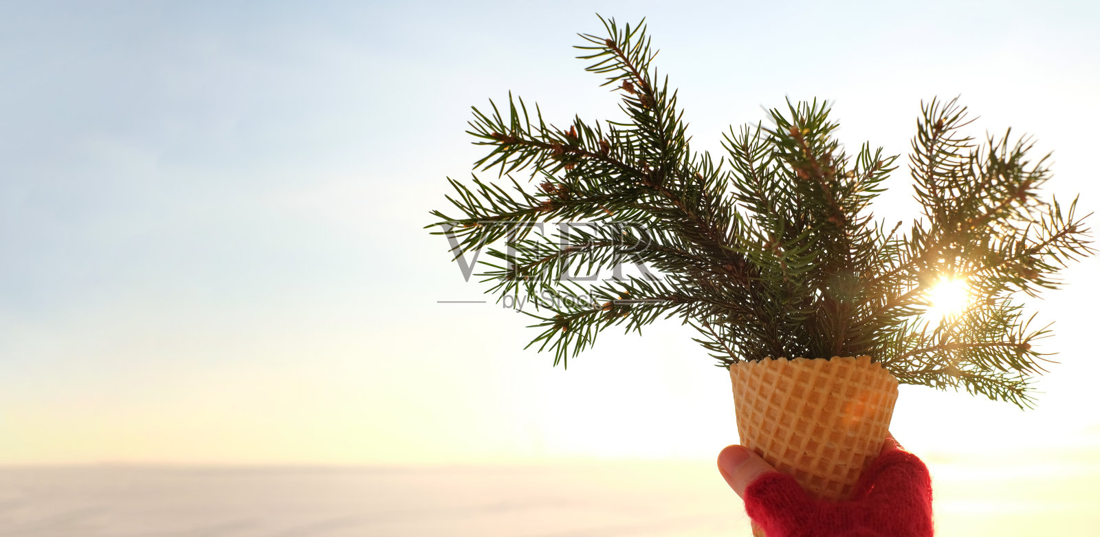 冬夜天空背景上手拿树枝的华夫蛋筒照片摄影图片
