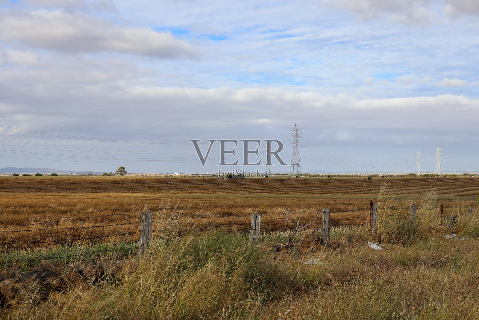 电塔穿过田野照片摄影图片