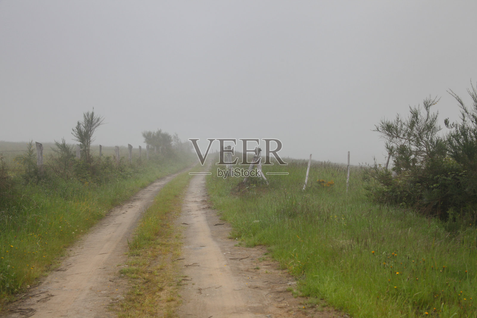 雾中的道路照片摄影图片