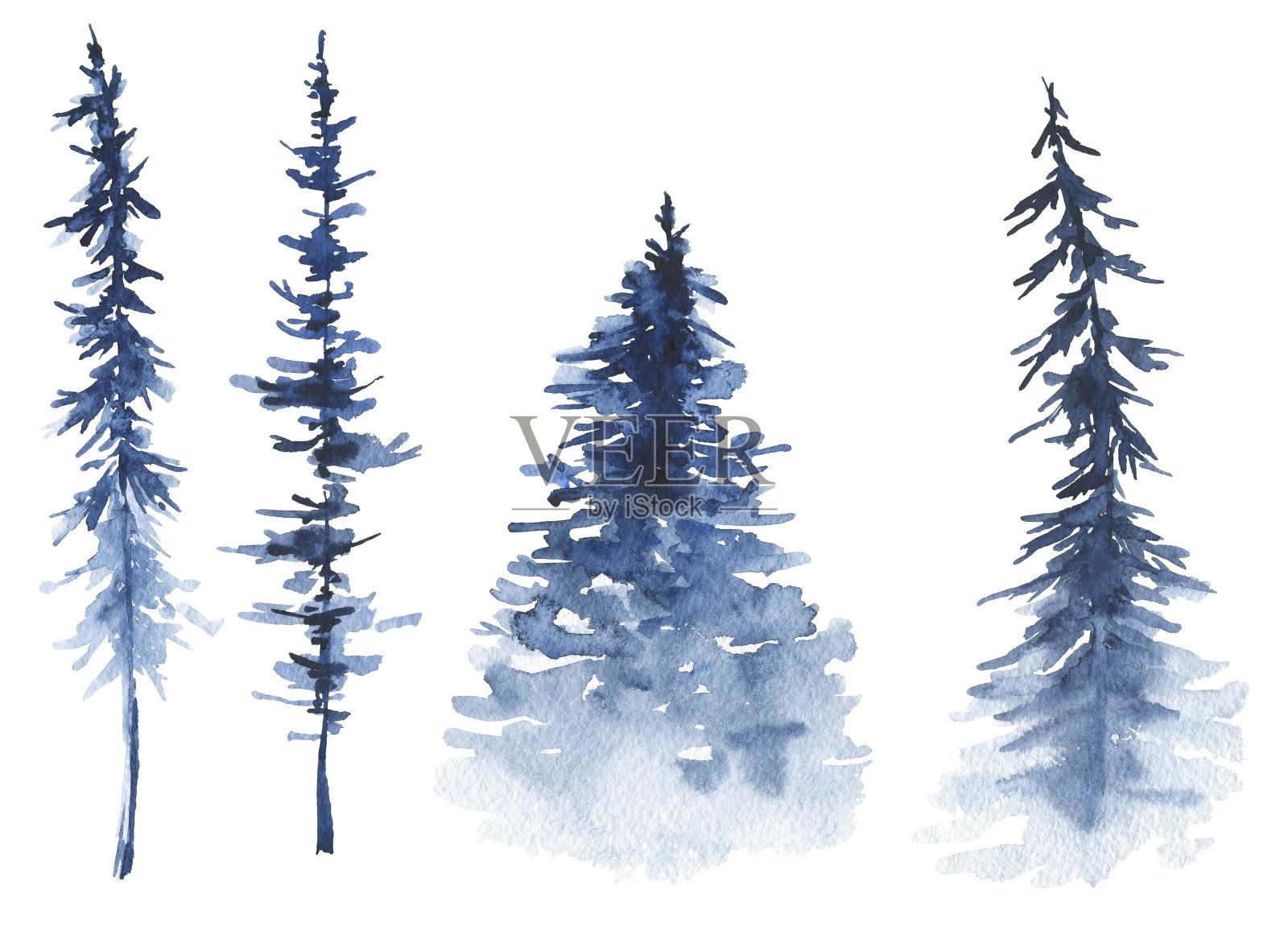 水彩冷杉树在白色的背景。水彩画冬季插图。插画图片素材