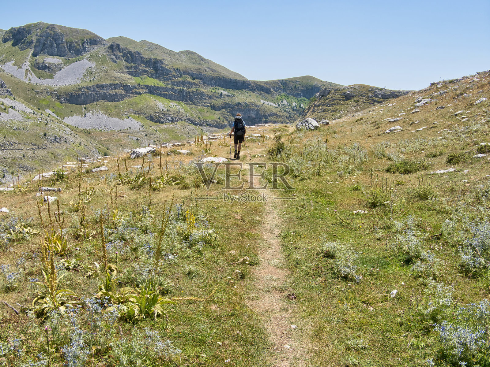 一名年轻人步行前往位于维科斯峡谷地区的扎格里亚村Tsepelovo照片摄影图片
