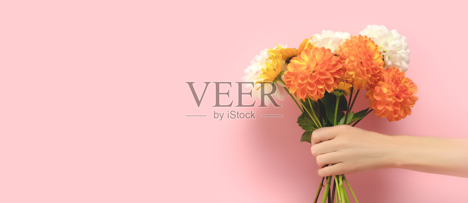 旗帜与女性手捧大丽花花束。照片摄影图片