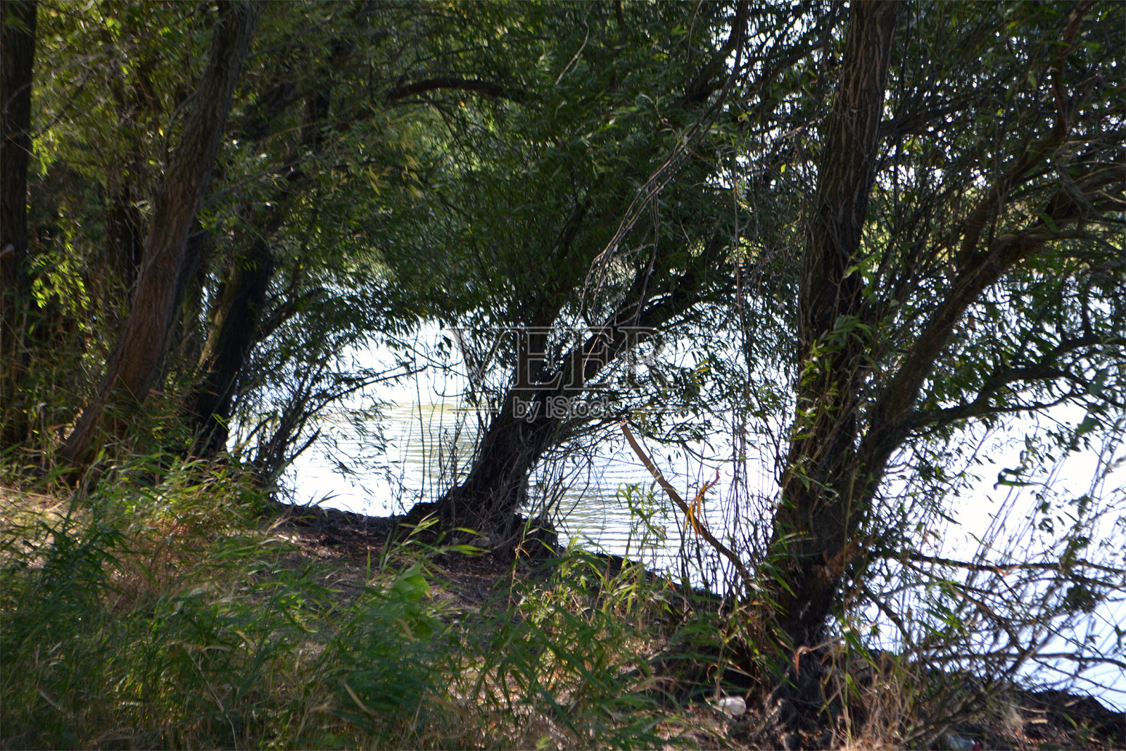 多瑙河三角洲的运河上风景如画照片摄影图片