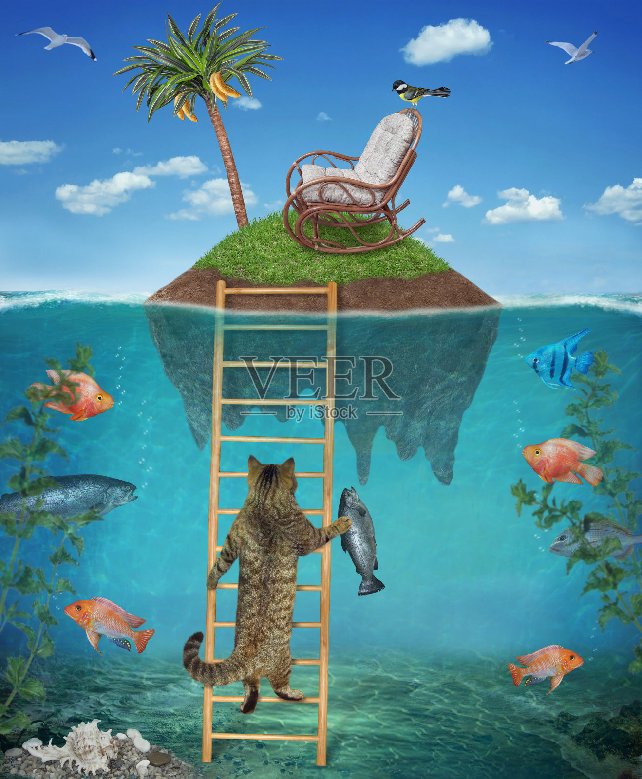 猫和抓住的鳟鱼在梯子上插画图片素材