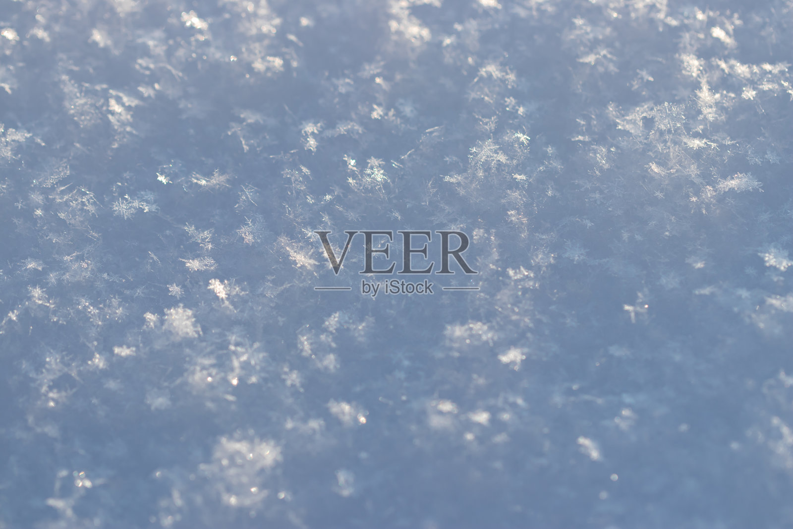 雪地上有许多雪花照片摄影图片