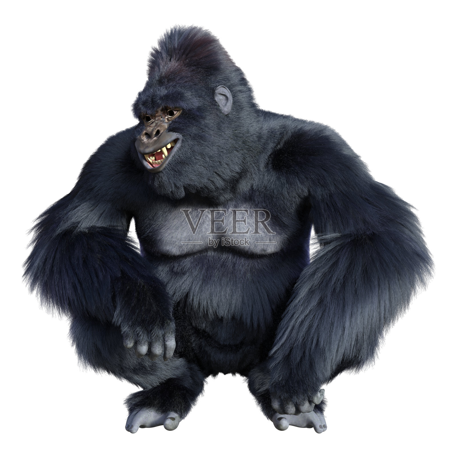 3D渲染黑猩猩猿在白色照片摄影图片