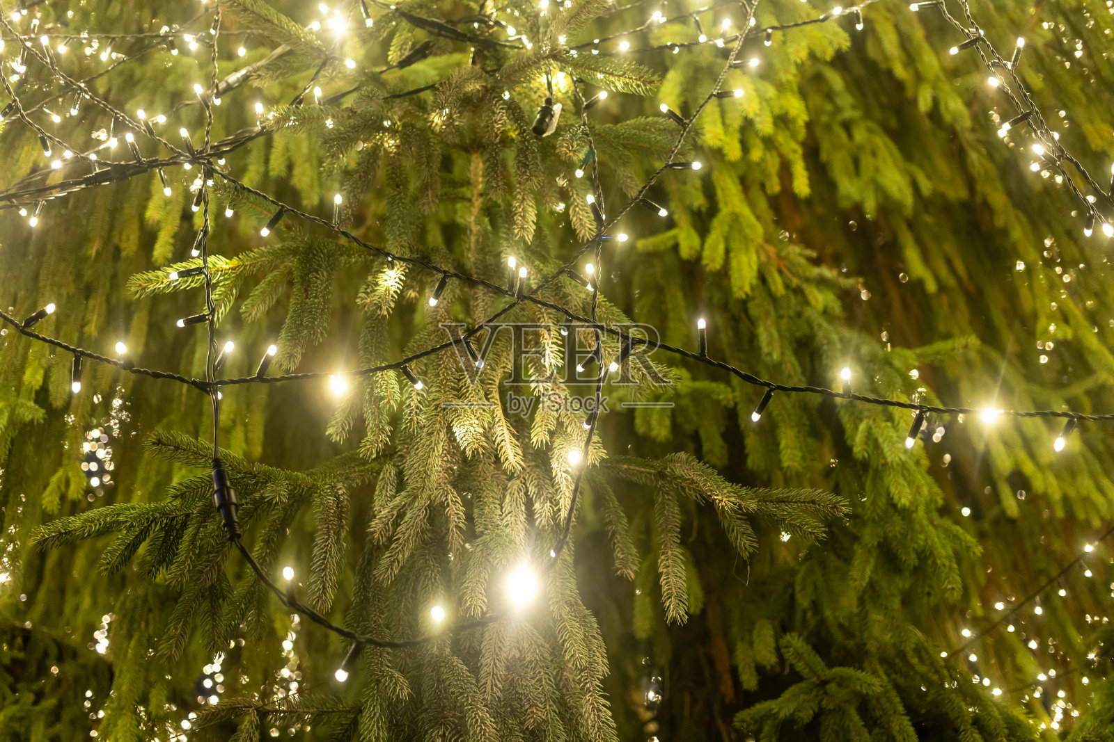 节日节日装饰在圣诞树上选择重点照片摄影图片