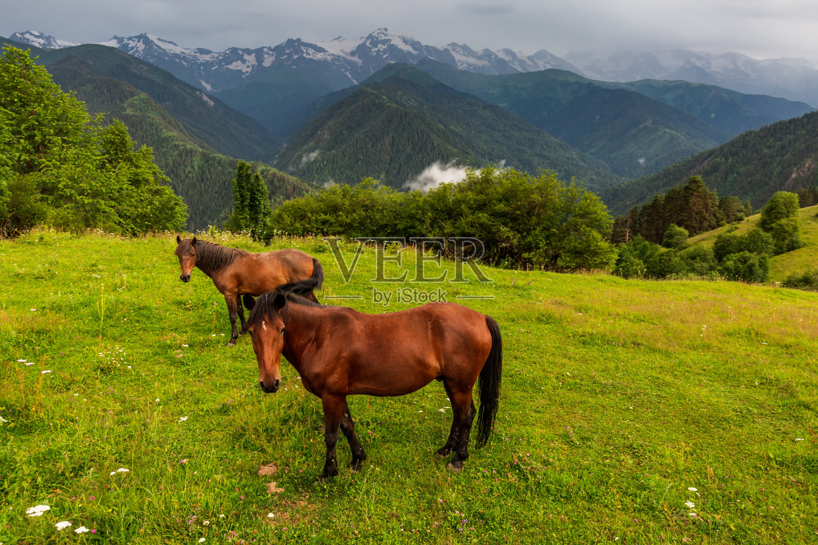 主要是佐治亚的热门旅游景点照片摄影图片