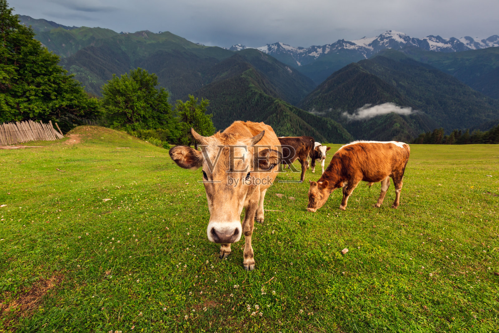 主要是佐治亚的热门旅游景点照片摄影图片